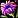 Zerdrückte Blüte