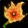 Brandblüte